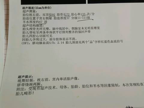 journal_insert_pic_806641921