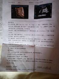 journal_insert_pic_807741567
