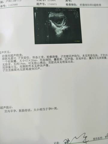 journal_insert_pic_807117029