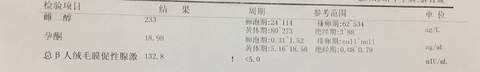 journal_insert_pic_808420945