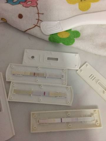 journal_insert_pic_808364959
