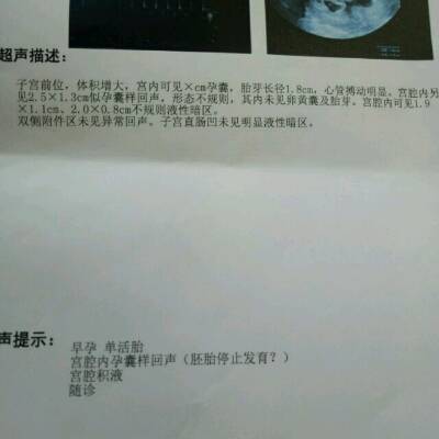 journal_insert_pic_808191664