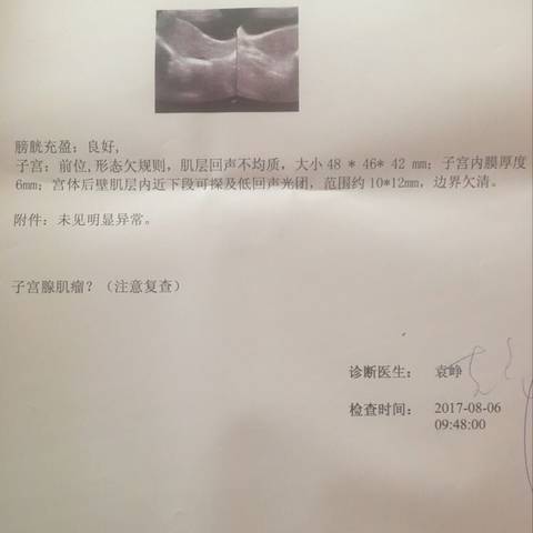 journal_insert_pic_809023594