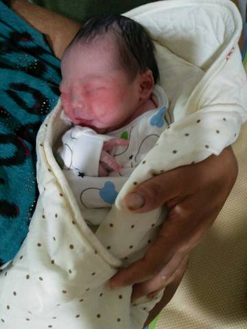 journal_insert_pic_810070572