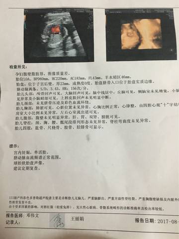 journal_insert_pic_810858418