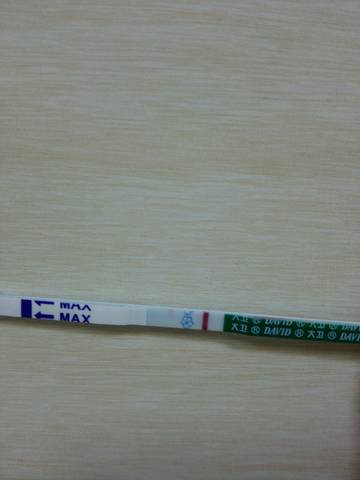 journal_insert_pic_810761329