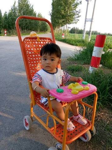 journal_insert_pic_811018394
