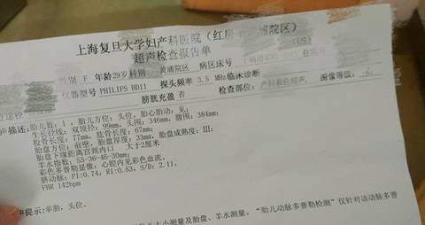 journal_insert_pic_813481239