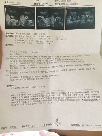 journal_insert_pic_813711616