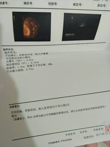 journal_insert_pic_814067349