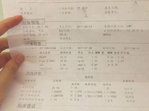 journal_insert_pic_815264794