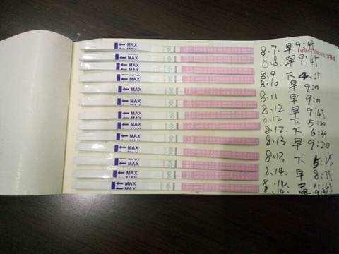 journal_insert_pic_817166305