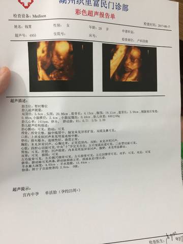 journal_insert_pic_817294810