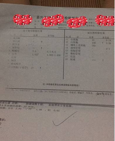 journal_insert_pic_817429832