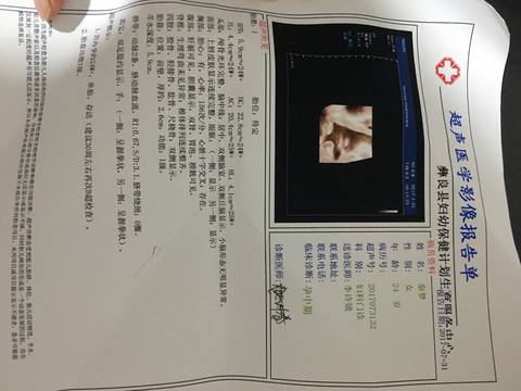 journal_insert_pic_817529209