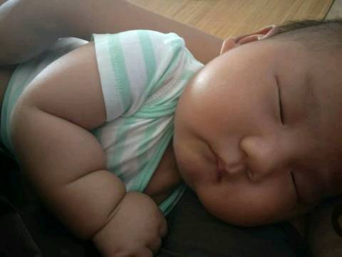 journal_insert_pic_817934572