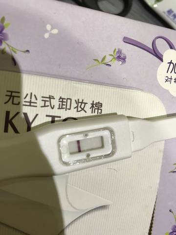 journal_insert_pic_817929730
