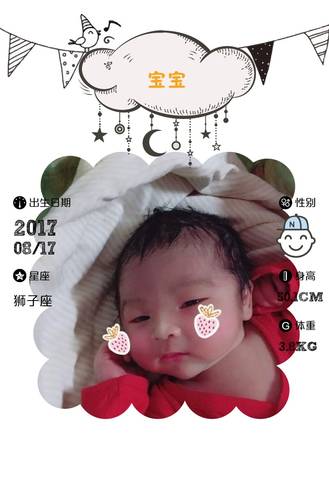 journal_insert_pic_817637232