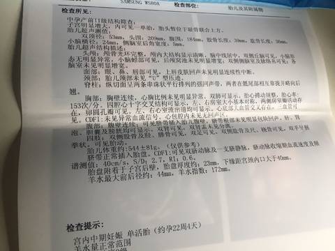journal_insert_pic_819339602