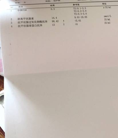 journal_insert_pic_820875292