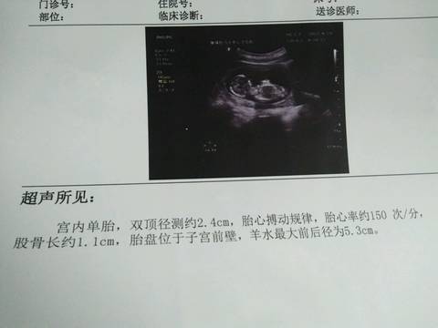 journal_insert_pic_821539333