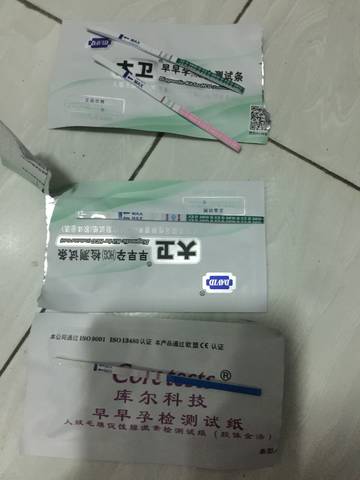 journal_insert_pic_822085937
