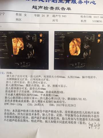 journal_insert_pic_822613148