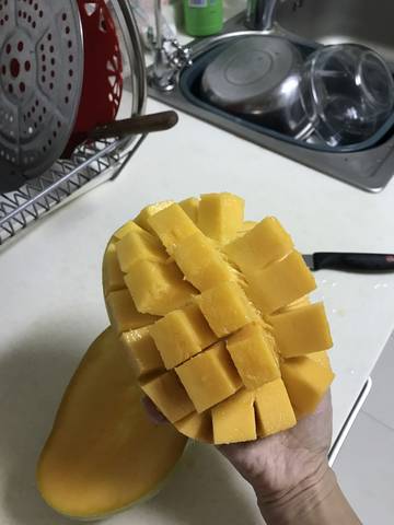 journal_insert_pic_822667068