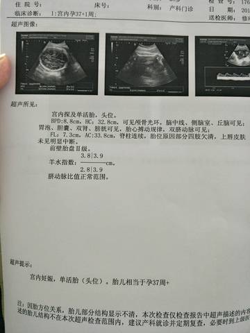 journal_insert_pic_823605096