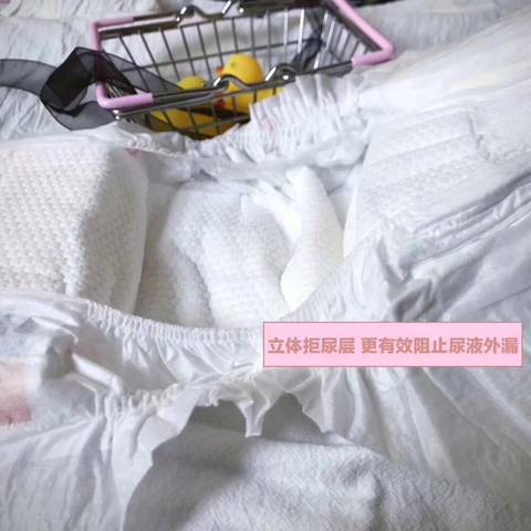 journal_insert_pic_824411595