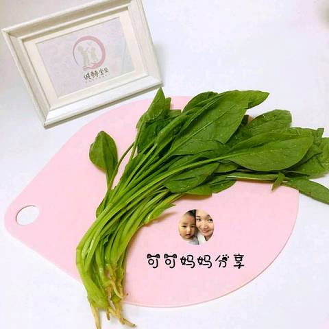 journal_insert_pic_824354298