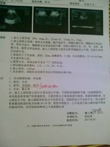 journal_insert_pic_825656318