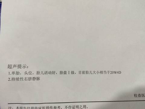 journal_insert_pic_826239360
