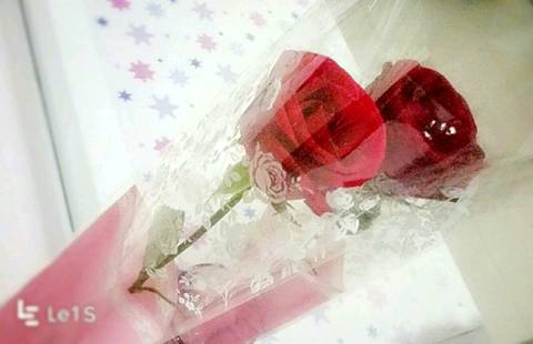journal_insert_pic_826518235