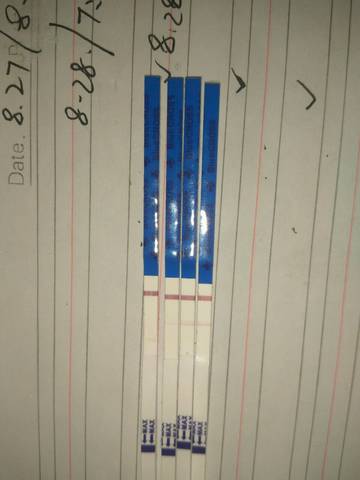 journal_insert_pic_827657447