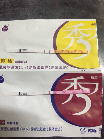 journal_insert_pic_828056256