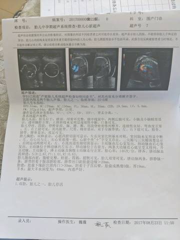 journal_insert_pic_828665267
