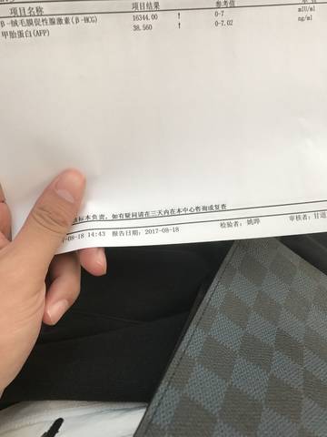 journal_insert_pic_829234076