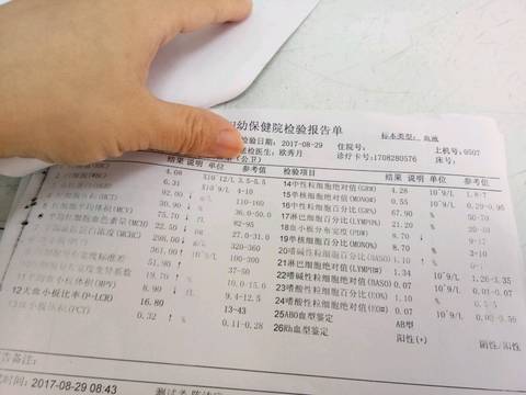 journal_insert_pic_829402810