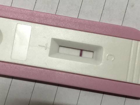 journal_insert_pic_830906241