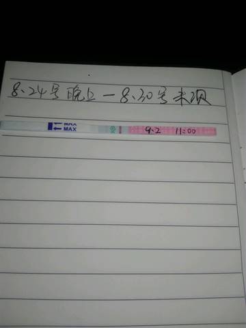 journal_insert_pic_830653335