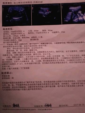 journal_insert_pic_831833827