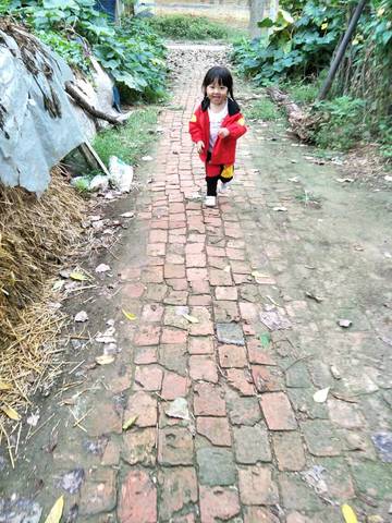 journal_insert_pic_832276270