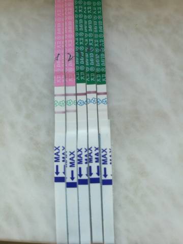 journal_insert_pic_832081190