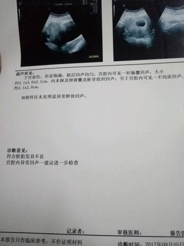 journal_insert_pic_832396449
