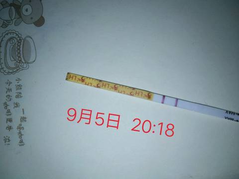 journal_insert_pic_832585706