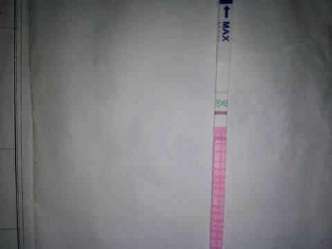 journal_insert_pic_832254567