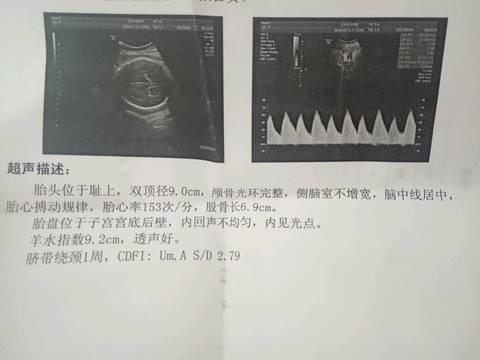 journal_insert_pic_832249341