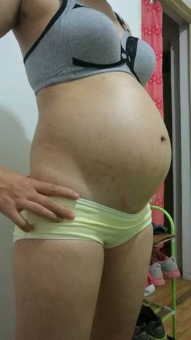 journal_insert_pic_833275115