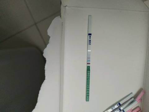journal_insert_pic_832778510